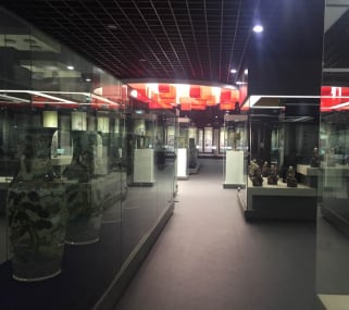 北京华文学院赵泰来藏品展馆现场实景